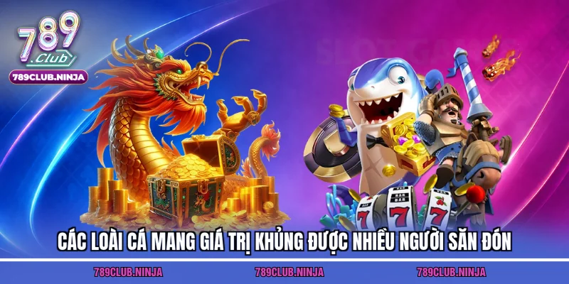 Các loài cá mang giá trị khủng được nhiều người săn đón