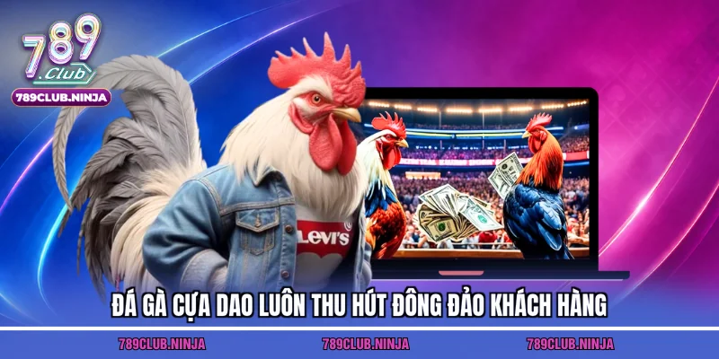 Đá gà cựa dao luôn thu hút đông đảo khách hàng