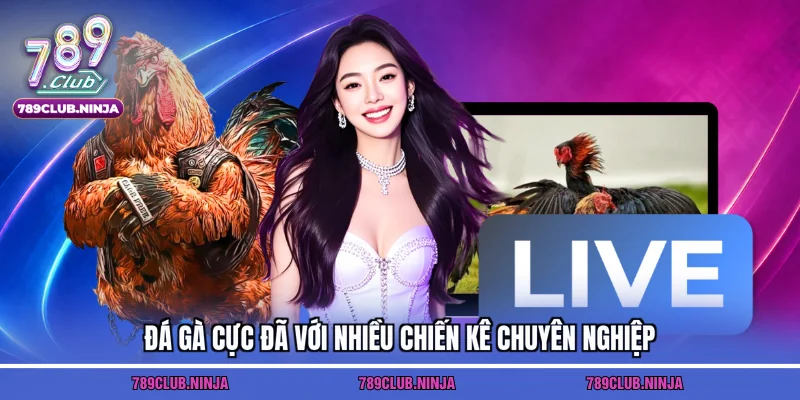 Đá gà cực đã với nhiều chiến kê chuyên nghiệp