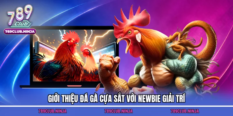 Giới thiệu đá gà cựa sắt với newbie giải trí