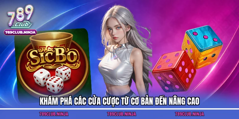 Khám phá các cửa cược từ cơ bản đến nâng cao