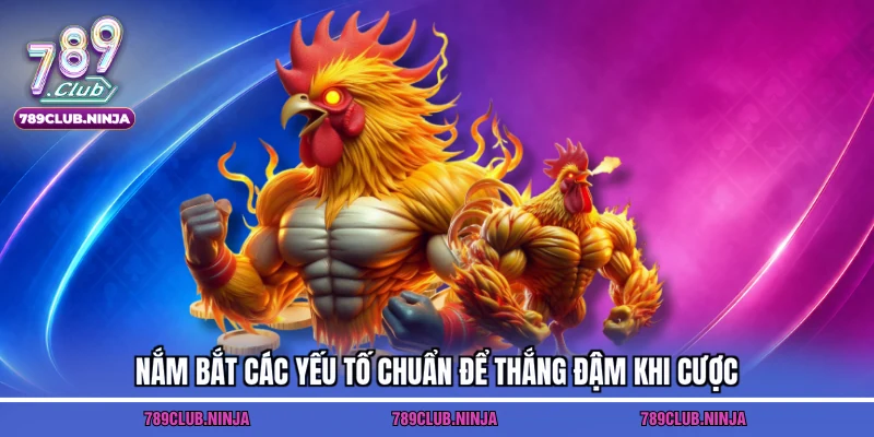 Nắm bắt các yếu tố chuẩn để thắng đậm khi cược