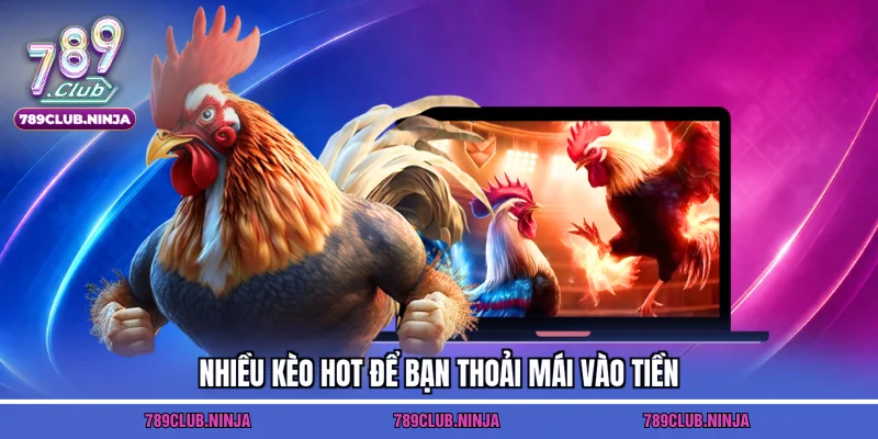 Nhiều kèo hot để bạn thoải mái vào tiền