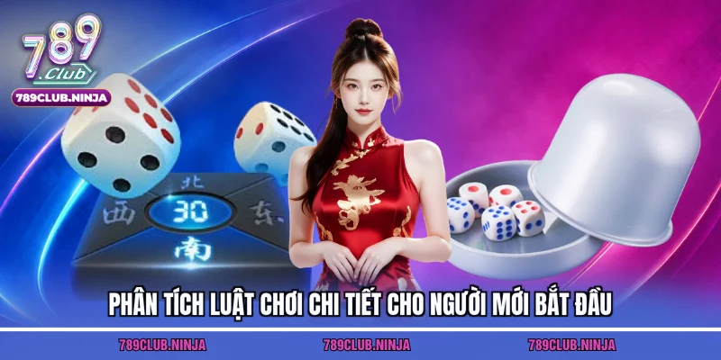 Phân tích luật chơi chi tiết cho người mới bắt đầu