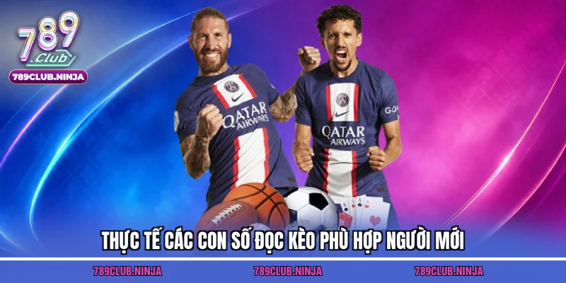Thực tế các con số đọc kèo phù hợp người mới